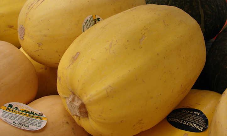 Yellowed skin is one sign of when to pick spaghetti squash.