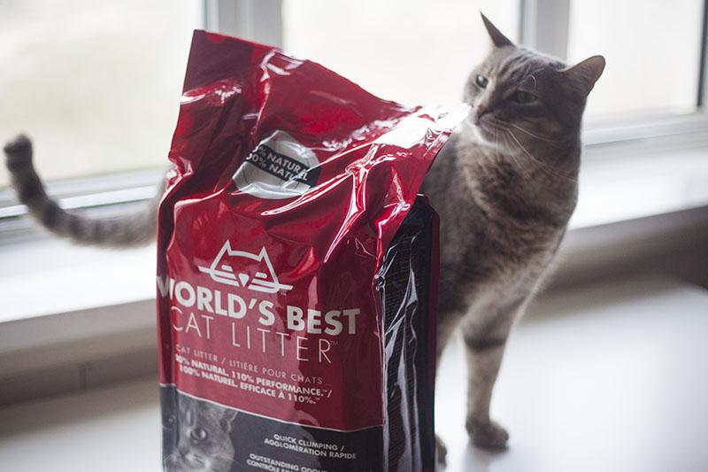 World’s Best Cat Litter Multiple Cat Quick Clumping Formula