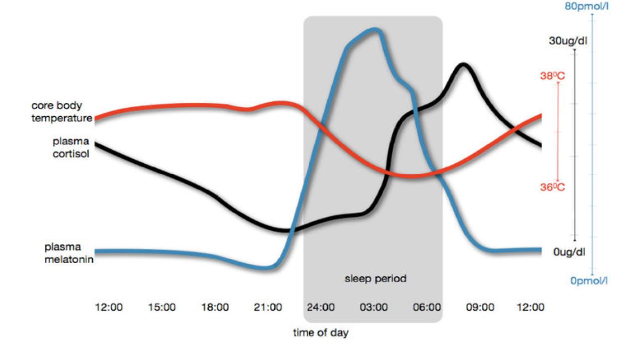 Chart - The Influence of Light on Sleep