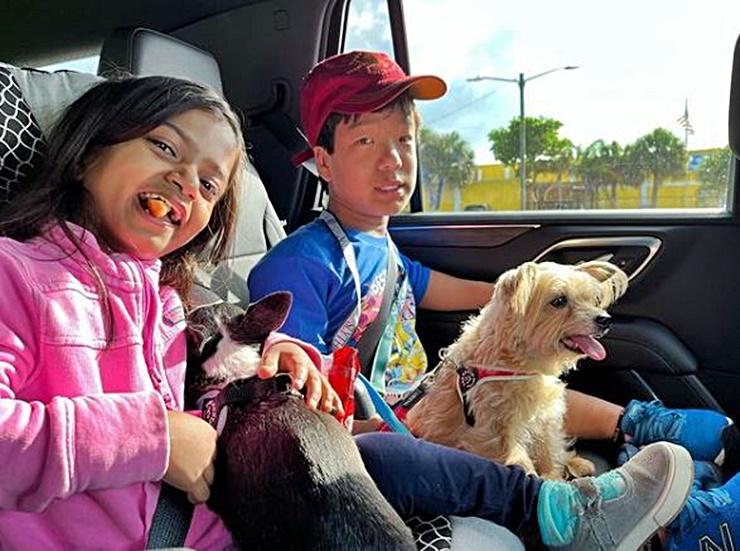 The Little Couple Fans Shocked To Hear Pooch Maggie Had An Accident