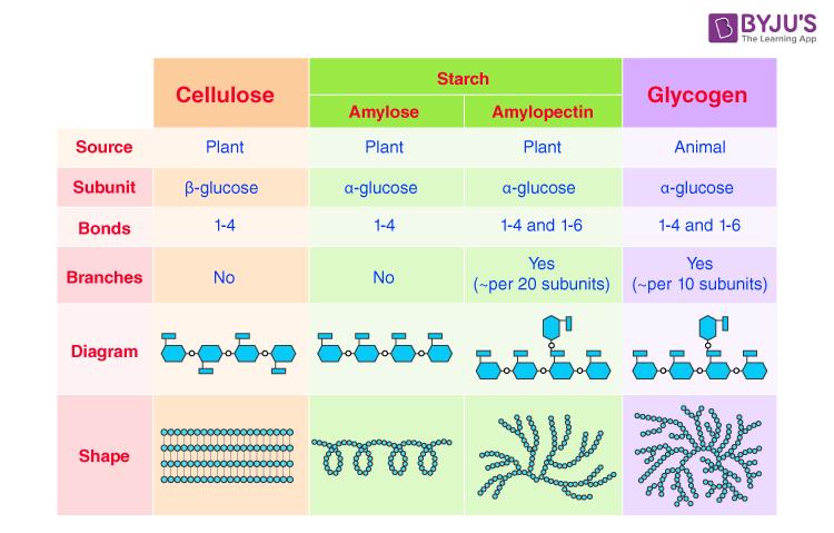Difference between starch, cellulose, and glycogen