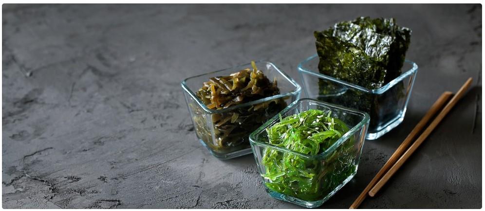 Kinds of the seaweed