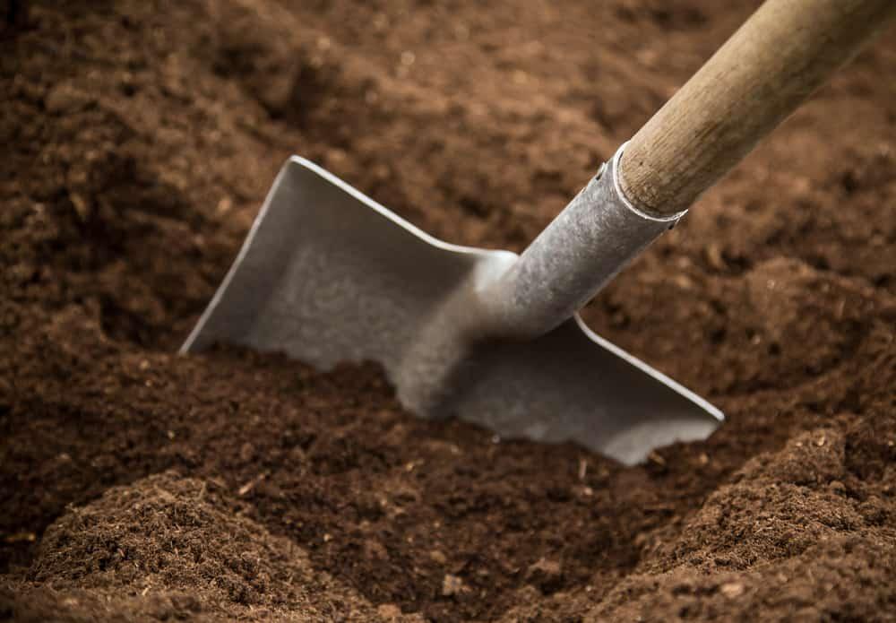 Shovel in the ground, close-up