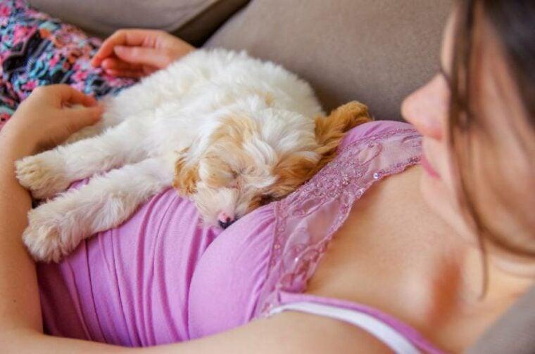 a puppy sleeping on a woman